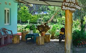 Ohiya Forest Lodge